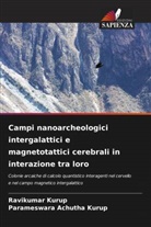 Parameswara Achutha Kurup, Ravikumar Kurup - Campi nanoarcheologici intergalattici e magnetotattici cerebrali in interazione tra loro
