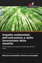 Marcos Fernandes Teixera Fernandes - Impatto ambientale dell'estrazione e della lavorazione della steatite