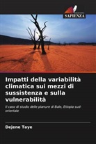 Dejene Taye - Impatti della variabilità climatica sui mezzi di sussistenza e sulla vulnerabilità