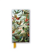 Flame Tree Publishing - Ernst Haeckel: Hummingbirds (Foiled Slimline Journal)