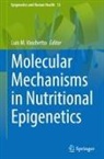 Luis M. Vaschetto - Molecular Mechanisms in Nutritional Epigenetics