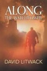 David Litwack, Lane Diamond - Along the Watchtower