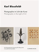Karl Bloßfeldt - Photographie im Licht der Kunst / Photography in the Light of Art