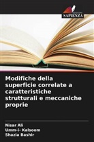 Nisar Ali, Shazia Bashir, Umm-i Kalsoom, Umm-i- Kalsoom - Modifiche della superficie correlate a caratteristiche strutturali e meccaniche proprie