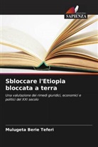 Mulugeta Berie Teferi - Sbloccare l'Etiopia bloccata a terra