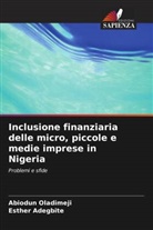 Esther Adegbite, Abiodun Oladimeji - Inclusione finanziaria delle micro, piccole e medie imprese in Nigeria