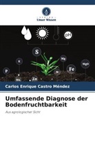 Carlos Enrique Castro Méndez - Umfassende Diagnose der Bodenfruchtbarkeit