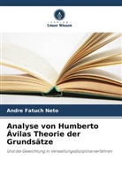 Andre Fatuch Neto - Analyse von Humberto Ávilas Theorie der Grundsätze