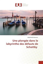 Abdelhafid Mimouni - Une plongée dans le labyrinthe des défauts de Schottky