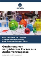 João Eduardo Campos Silva, Bela Cristiane de Oliveira, Vagner Marcelo Gomes - Gewinnung von vergärbarem Zucker aus Zuckerrohrbagasse