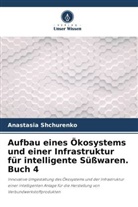 Anastasia Shchurenko - Aufbau eines Ökosystems und einer Infrastruktur für intelligente Süßwaren. Buch 4