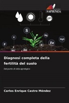 Carlos Enrique Castro Méndez - Diagnosi completa della fertilità del suolo