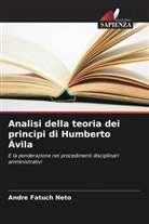 Andre Fatuch Neto - Analisi della teoria dei principi di Humberto Ávila