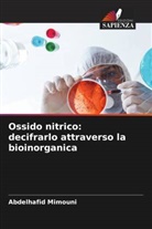 Abdelhafid Mimouni - Ossido nitrico: decifrarlo attraverso la bioinorganica