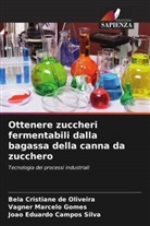 João Eduardo Campos Silva, Bela Cristiane de Oliveira, Vagner Marcelo Gomes - Ottenere zuccheri fermentabili dalla bagassa della canna da zucchero