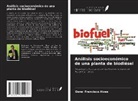 Osnei Francisco Alves - Análisis socioeconómico de una planta de biodiésel