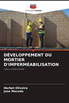 Jose Macedo, Herbet Oliveira - DÉVELOPPEMENT DU MORTIER D'IMPERMÉABILISATION