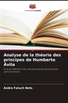 Andre Fatuch Neto - Analyse de la théorie des principes de Humberto Ávila
