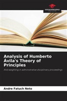 Andre Fatuch Neto - Analysis of Humberto Ávila's Theory of Principles