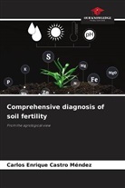 Carlos Enrique Castro Méndez - Comprehensive diagnosis of soil fertility