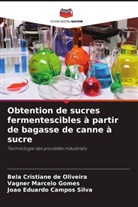 João Eduardo Campos Silva, Bela Cristiane de Oliveira, Vagner Marcelo Gomes - Obtention de sucres fermentescibles à partir de bagasse de canne à sucre