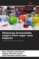 João Eduardo Campos Silva, Bela Cristiane de Oliveira, Vagner Marcelo Gomes - Obtaining fermentable sugars from sugar cane bagasse