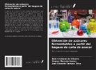 João Eduardo Campos Silva, Bela Cristiane de Oliveira, Vagner Marcelo Gomes - Obtención de azúcares fermentables a partir del bagazo de caña de azúcar