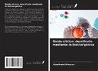 Abdelhafid Mimouni - Óxido nítrico: descifrarlo mediante la bioinorgánica