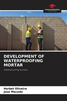 Jose Macedo, Herbet Oliveira - DEVELOPMENT OF WATERPROOFING MORTAR