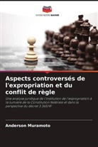 Anderson Muramoto - Aspects controversés de l'expropriation et du conflit de règle
