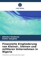 Esther Adegbite, Abiodun Oladimeji - Finanzielle Eingliederung von Kleinst-, kleinen und mittleren Unternehmen in Nigeria