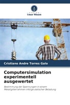 Cristiano André Torres Galo - Computersimulation experimentell ausgewertet