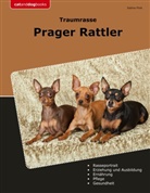 Sabine Flink - Traumrasse Prager Rattler