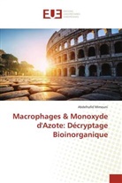 Abdelhafid Mimouni - Macrophages & Monoxyde d'Azote: Décryptage Bioinorganique