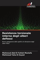 Mahmoud Abd El-Fattah Mostafa, Mahmoud Taha El-Sayed - Resistenza torsionale interna degli alberi deflessi