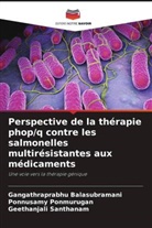 Gangathraprabhu Balasubramani, Ponnusamy Ponmurugan, Geethanjali Santhanam - Perspective de la thérapie phop/q contre les salmonelles multirésistantes aux médicaments