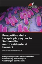 Gangathraprabhu Balasubramani, Ponnusamy Ponmurugan, Geethanjali Santhanam - Prospettiva della terapia phop/q per la Salmonella multiresistente ai farmaci