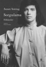 Susan Sontag - Sorgulama