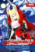 Fujino Omori, Suzuhito Yasuda, Benjamin Leimser - Is it wrong to try to pick up Girls in a Dungeon? Light Novel 07