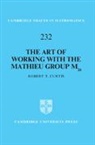 Robert T. Curtis, Robert T. (University of Birmingham) Curtis, Curtis Robert T. - Art of Working With the Mathieu Group M24