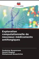 Mohammed Bouachrine, Soukaina Bouamrane, Hamid Maghat - Exploration computationnelle de nouveaux médicaments antifongiques