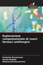 Mohammed Bouachrine, Soukaina Bouamrane, Hamid Maghat - Esplorazione computazionale di nuovi farmaci antifungini