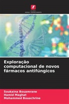 Mohammed Bouachrine, Soukaina Bouamrane, Hamid Maghat - Exploração computacional de novos fármacos antifúngicos