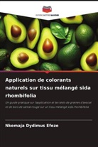 Nkemaja Dydimus Efeze - Application de colorants naturels sur tissu mélangé sida rhombifolia