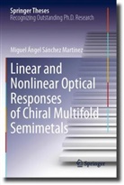 Miguel Ángel Sánchez Martínez - Linear and Nonlinear Optical Responses of Chiral Multifold Semimetals