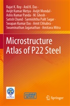 Satish Chand, Amit Chhabra, Anil K Das, Anil K. Das, Swapan Kumar Das, M. Ghosh... - Microstructure Atlas of P22 Steel