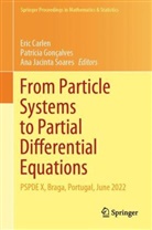 Eric Carlen, Patrícia Goncalves, Patrícia Gonçalves, Ana Jacinta Soares, Ana Jacinta Soares - From Particle Systems to Partial Differential Equations