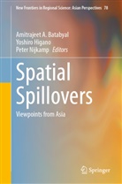 Amitrajeet A Batabyal, Amitrajeet A. Batabyal, Yoshiro Higano, Peter Nijkamp - Spatial Spillovers