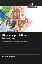 Ndam Aliyou - Finanza pubblica inclusiva