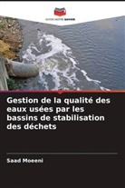 Saad Moeeni - Gestion de la qualité des eaux usées par les bassins de stabilisation des déchets
